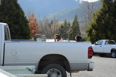 December 2014 - Yreka